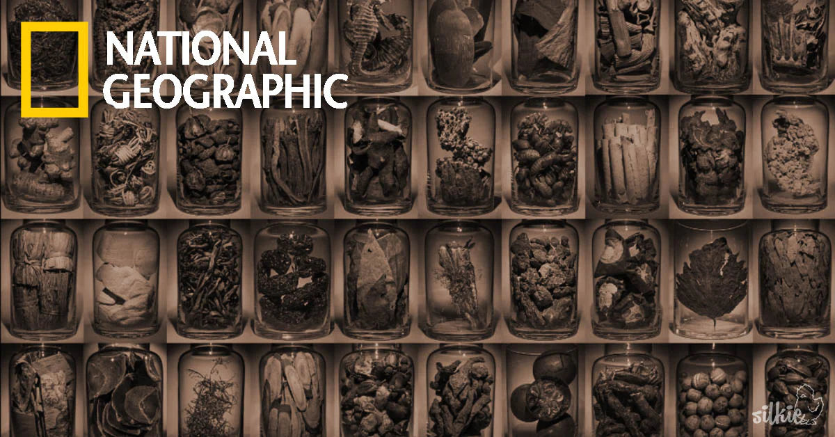 Western science approaches TCM