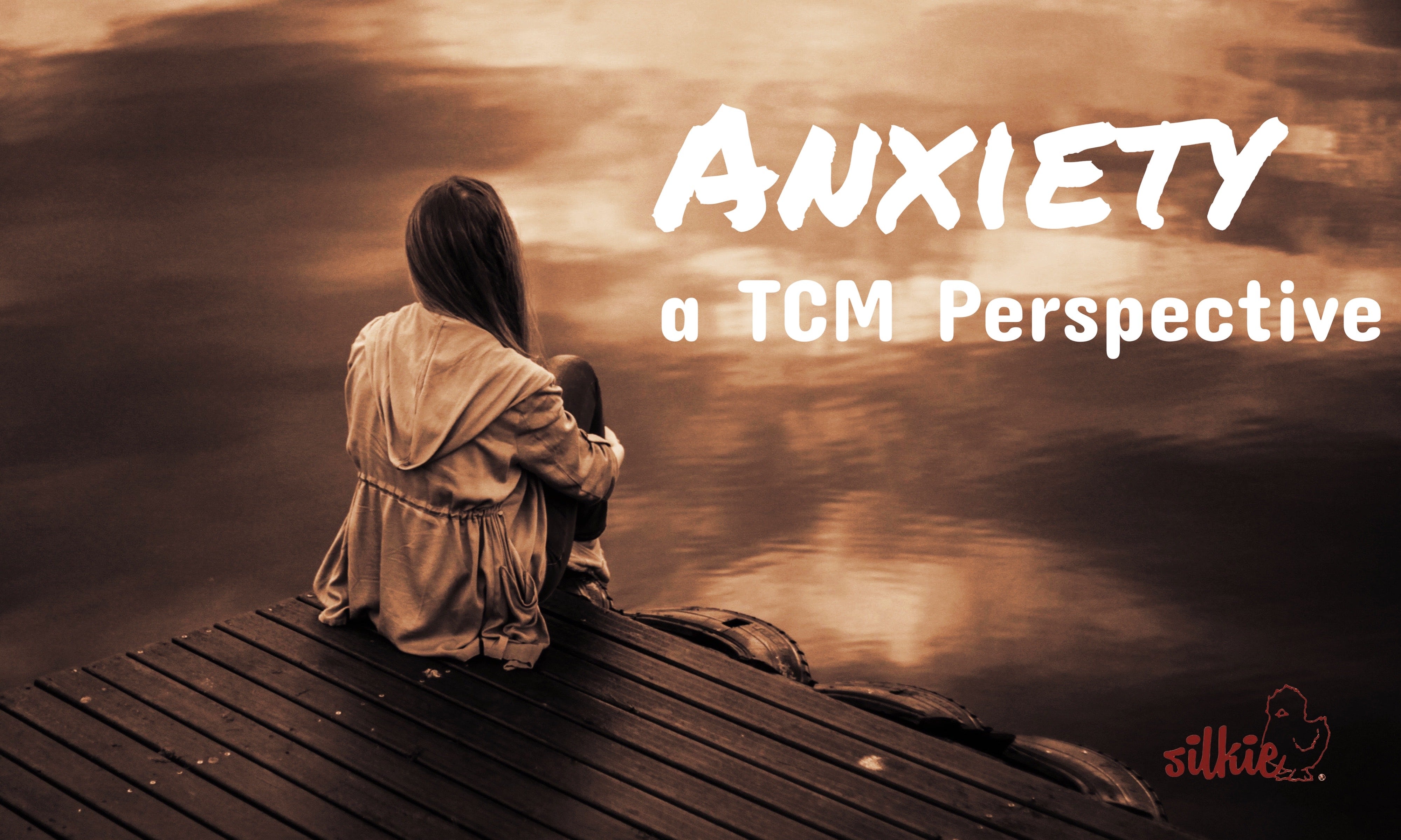 Understanding Anxiety Disorders 