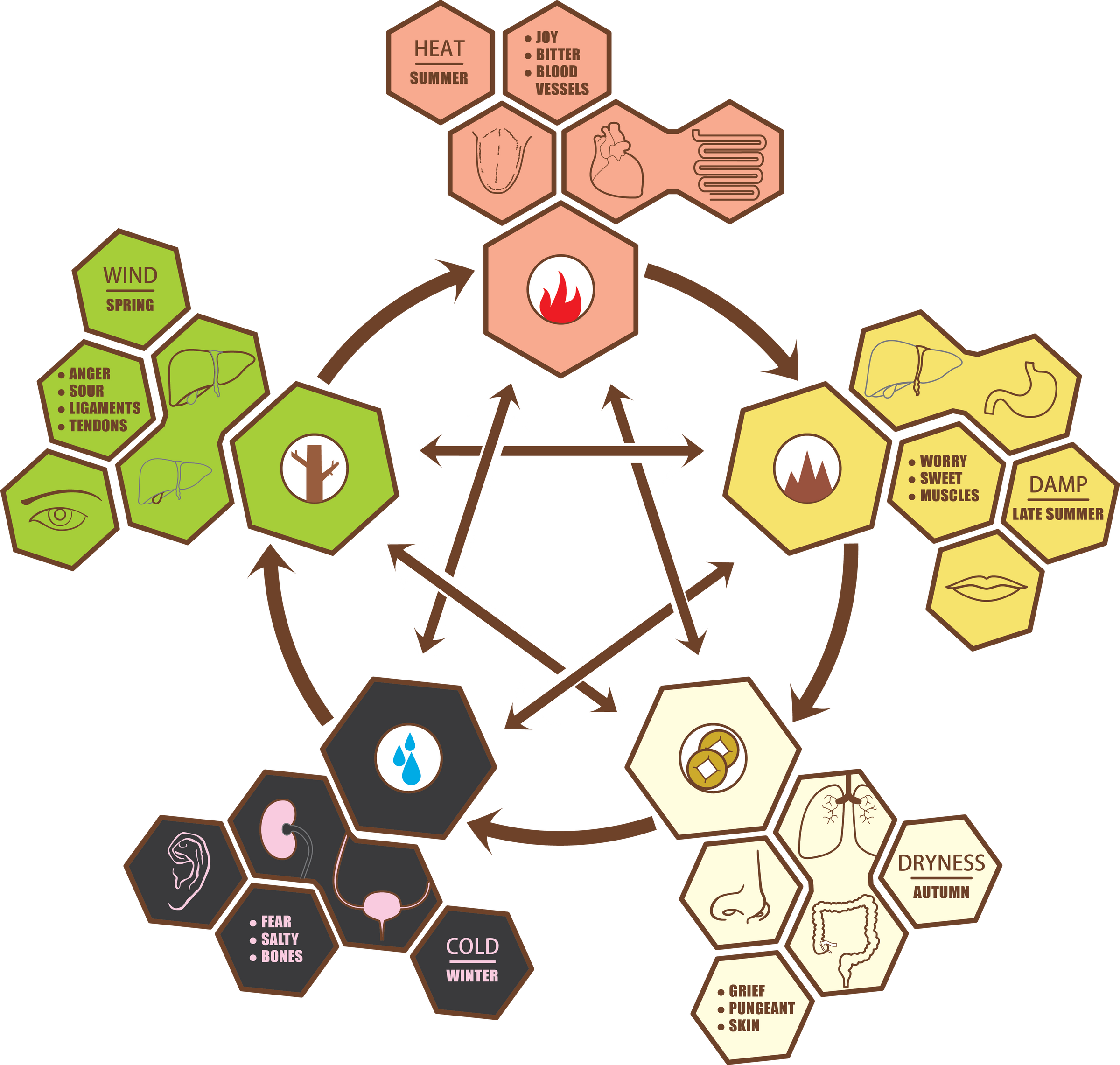 Yang and Hot body type