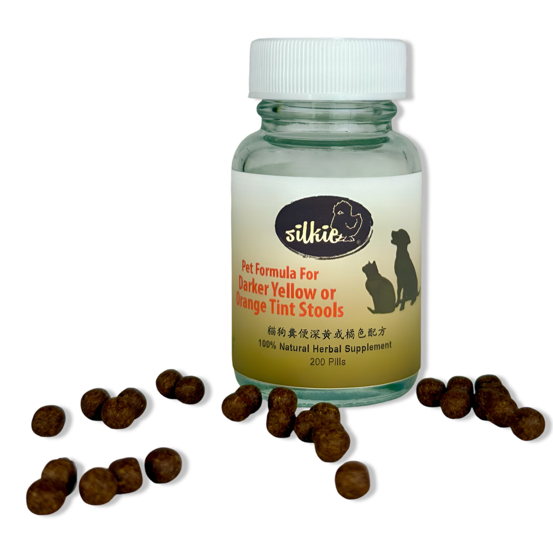 Phân thú cưng có màu vàng hoặc cam - phân có màu vàng tươi hoặc cam, buồn nôn nhẹ, tăng tần suất đi ngoài, chán ăn.