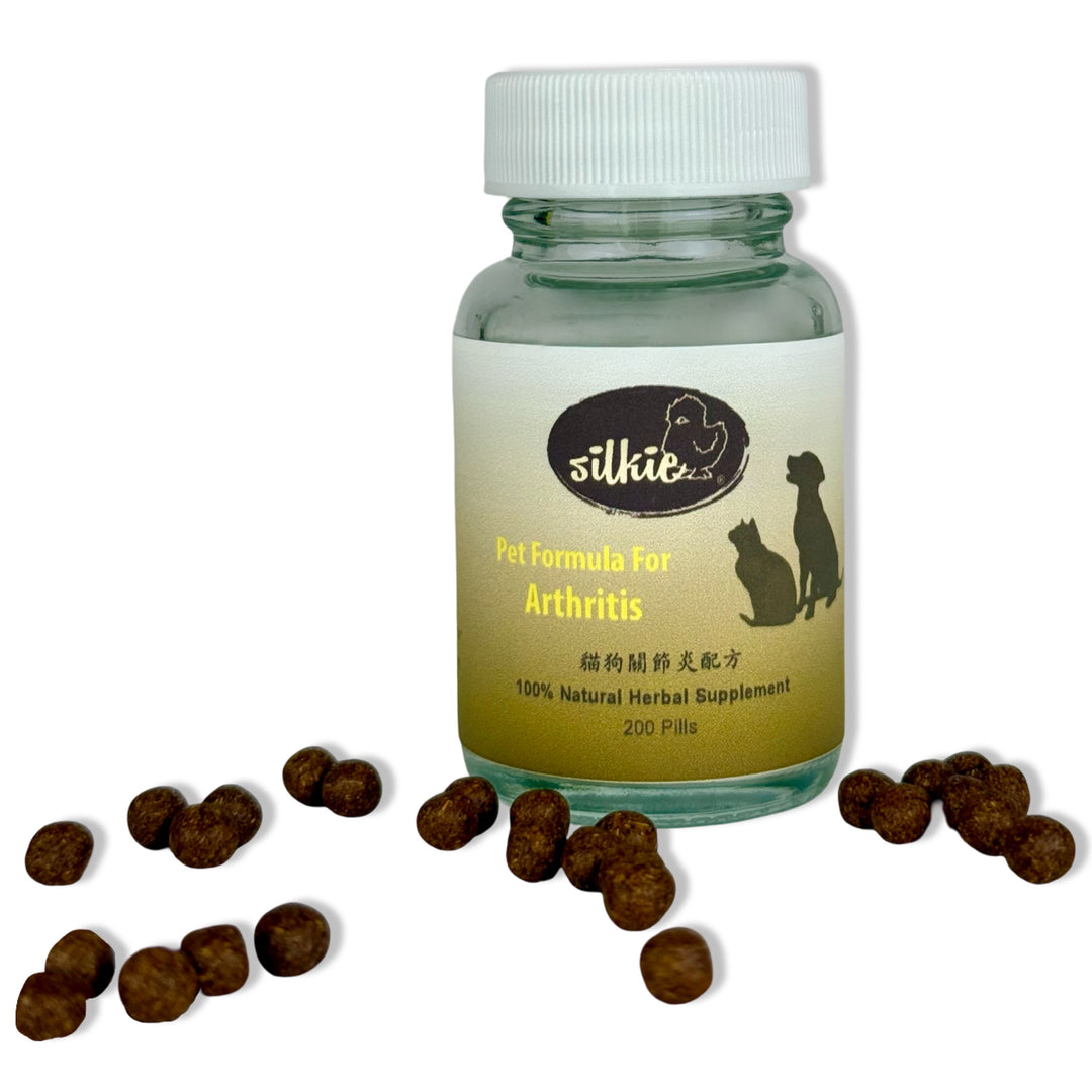 Thú cưng bị viêm khớp - cứng khớp, khập khiễng, đi bộ chậm chạp và không muốn nhảy hoặc leo cầu thang...