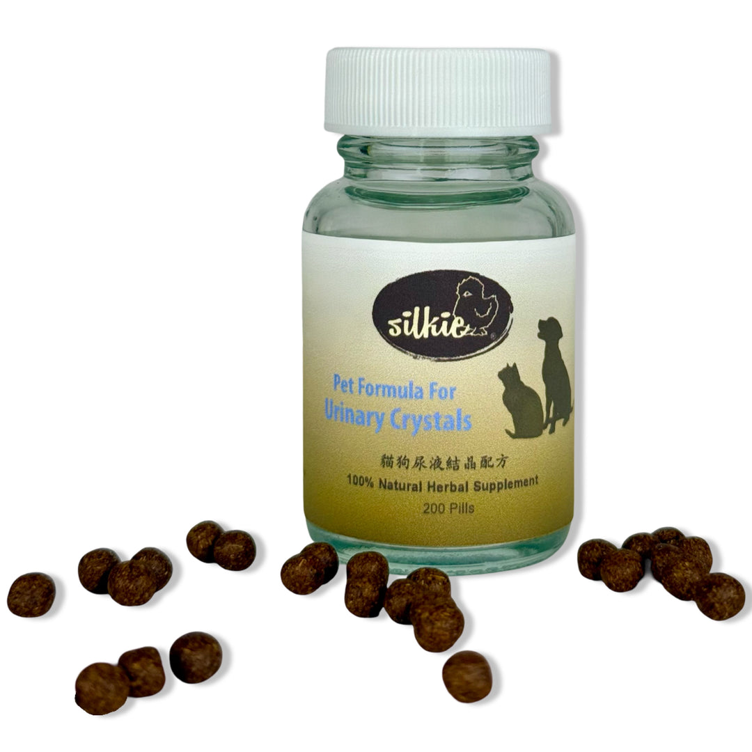 Thú cưng bị tinh thể nước tiểu - có máu trong nước tiểu, liếm quá nhiều vùng sinh dục, đi tiểu thường xuyên hoặc khó tiểu...