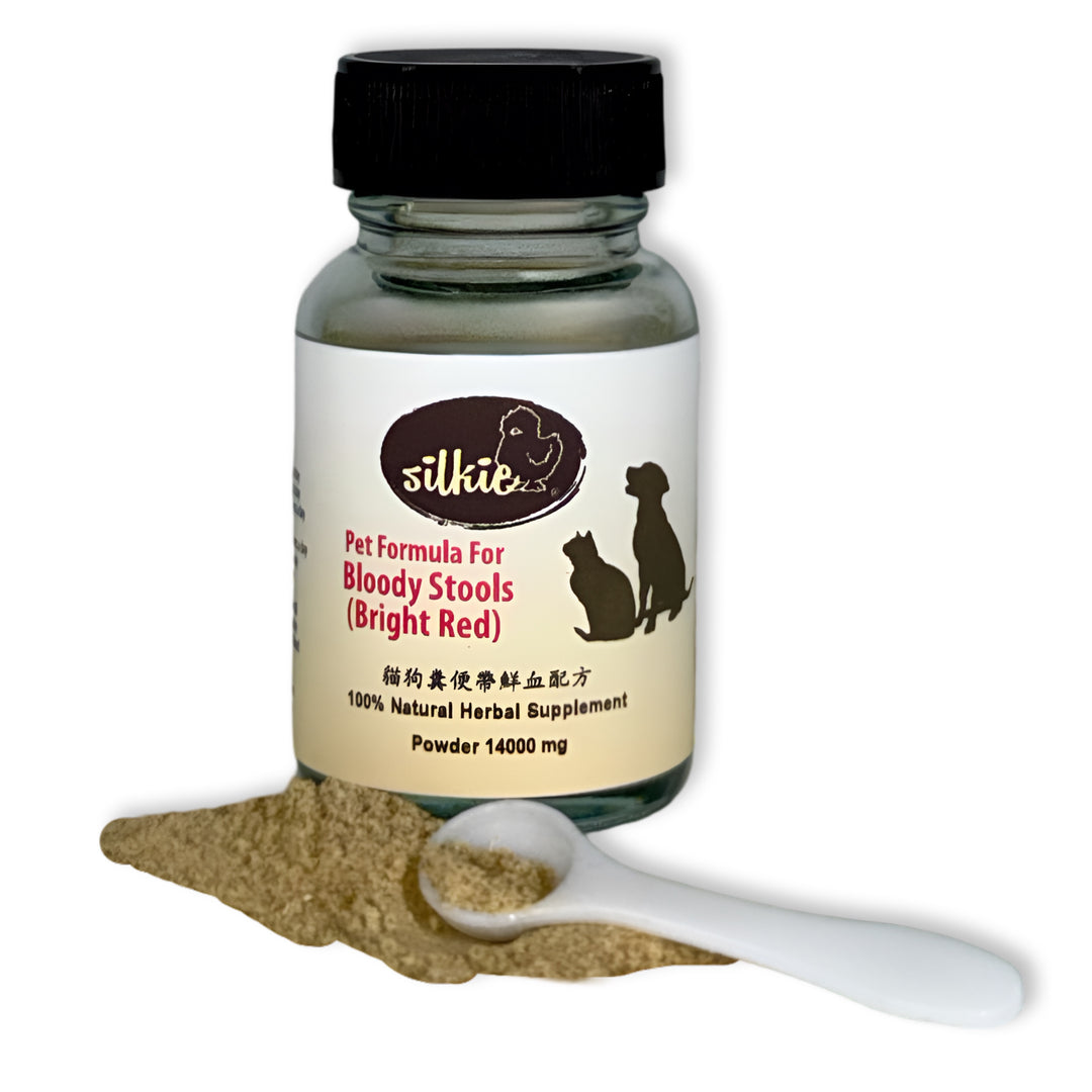 Phân có máu của thú cưng (màu đỏ tươi) - có máu đỏ tươi trong phân, rặn khi đi tiêu, khó chịu ở bụng, thỉnh thoảng nôn mửa...