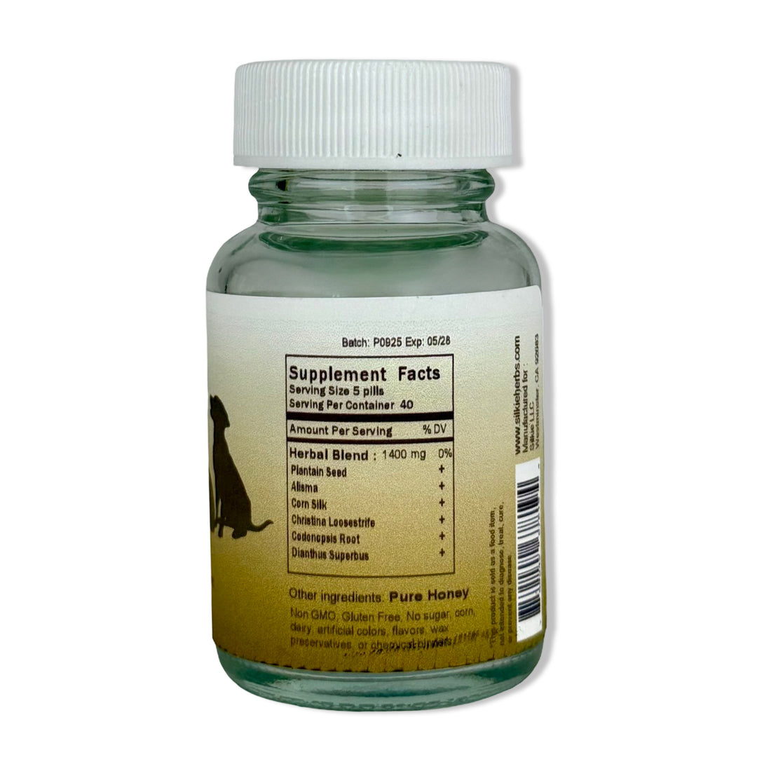 Thú cưng bị tinh thể nước tiểu - có máu trong nước tiểu, liếm quá nhiều vùng sinh dục, đi tiểu thường xuyên hoặc khó tiểu...