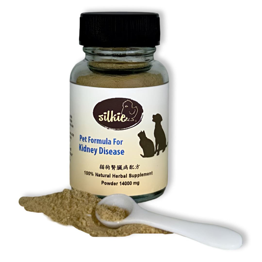 Thú cưng bị bệnh thận - uống nhiều nước hơn và đi tiểu thường xuyên hơn, sụt cân, nôn mửa hoặc lờ đờ...