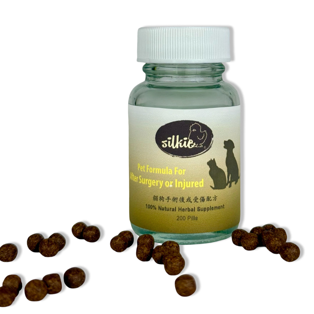 Thú cưng sau phẫu thuật hoặc bị thương - mệt mỏi, sưng nhẹ hoặc khó chịu, thỉnh thoảng bị rối loạn tiêu hóa...