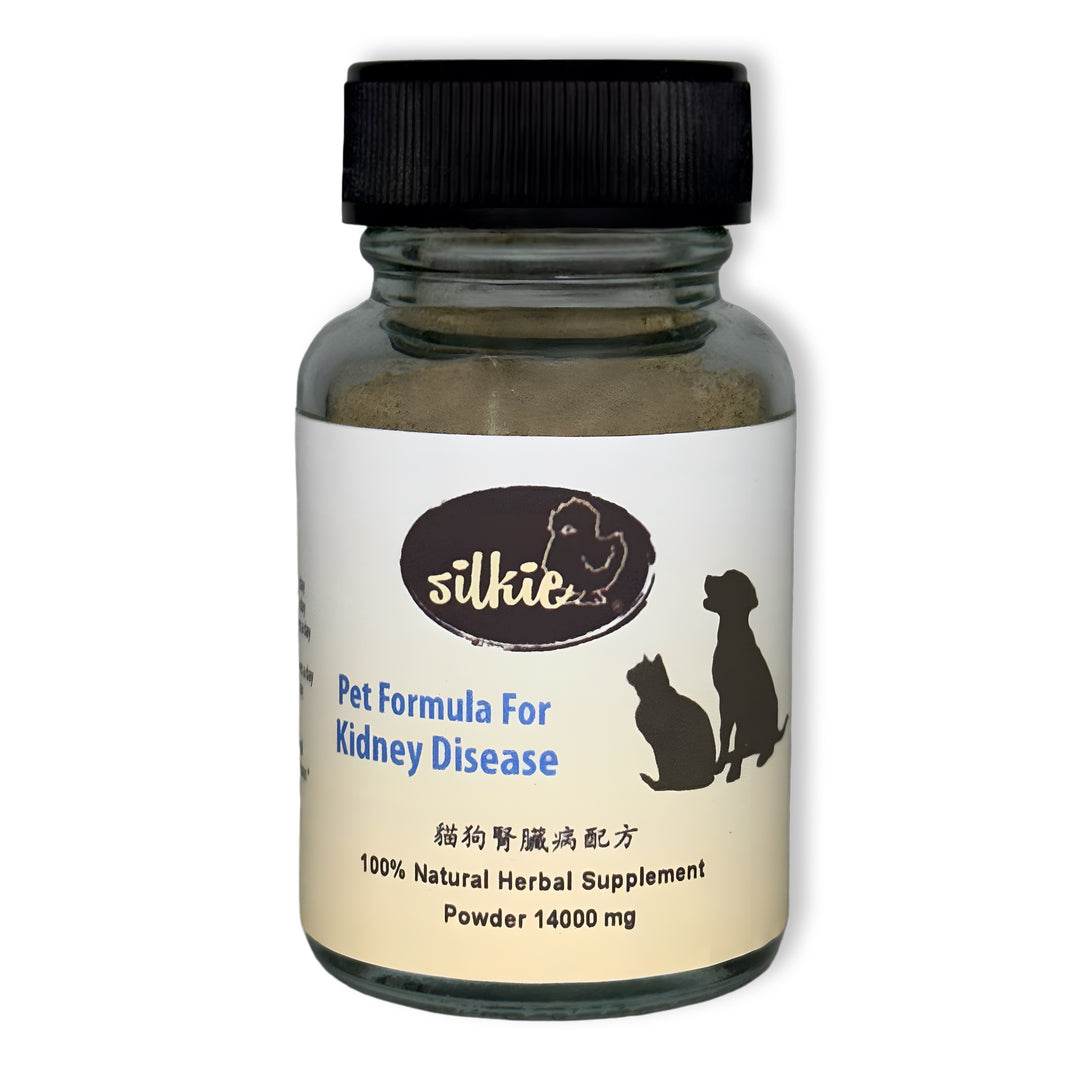 Thú cưng bị bệnh thận - uống nhiều nước hơn và đi tiểu thường xuyên hơn, sụt cân, nôn mửa hoặc lờ đờ...