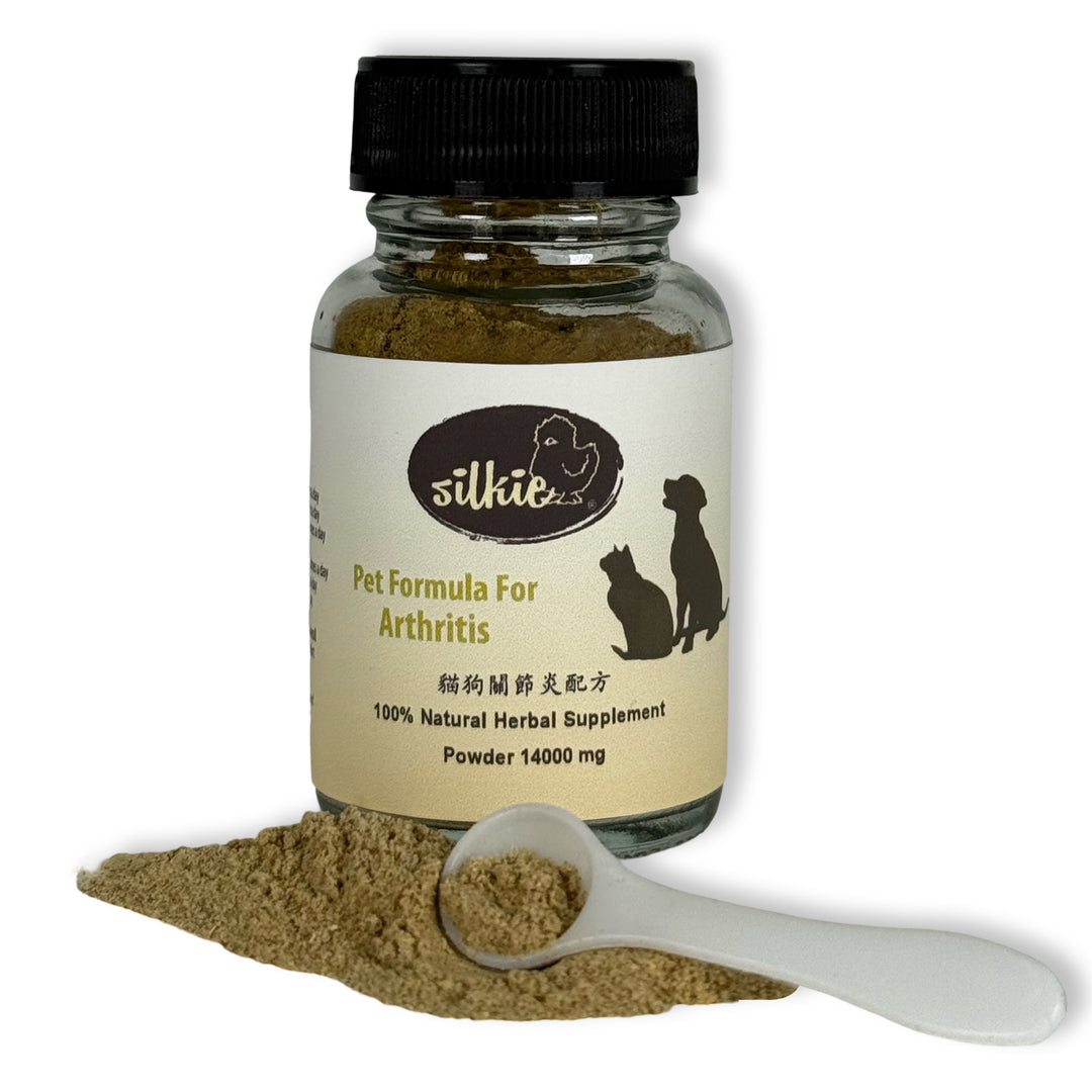 Thú cưng bị viêm khớp - cứng khớp, khập khiễng, đi bộ chậm chạp và không muốn nhảy hoặc leo cầu thang...