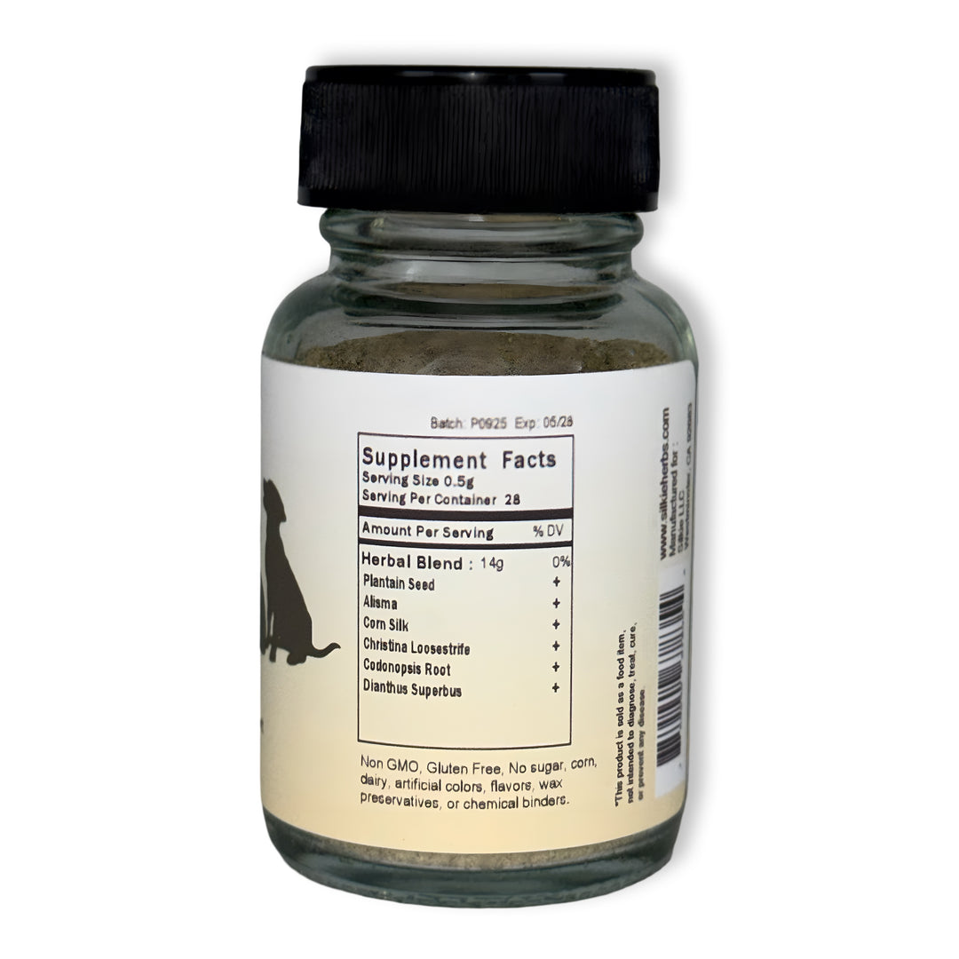 Thú cưng bị tinh thể nước tiểu - có máu trong nước tiểu, liếm quá nhiều vùng sinh dục, đi tiểu thường xuyên hoặc khó tiểu...