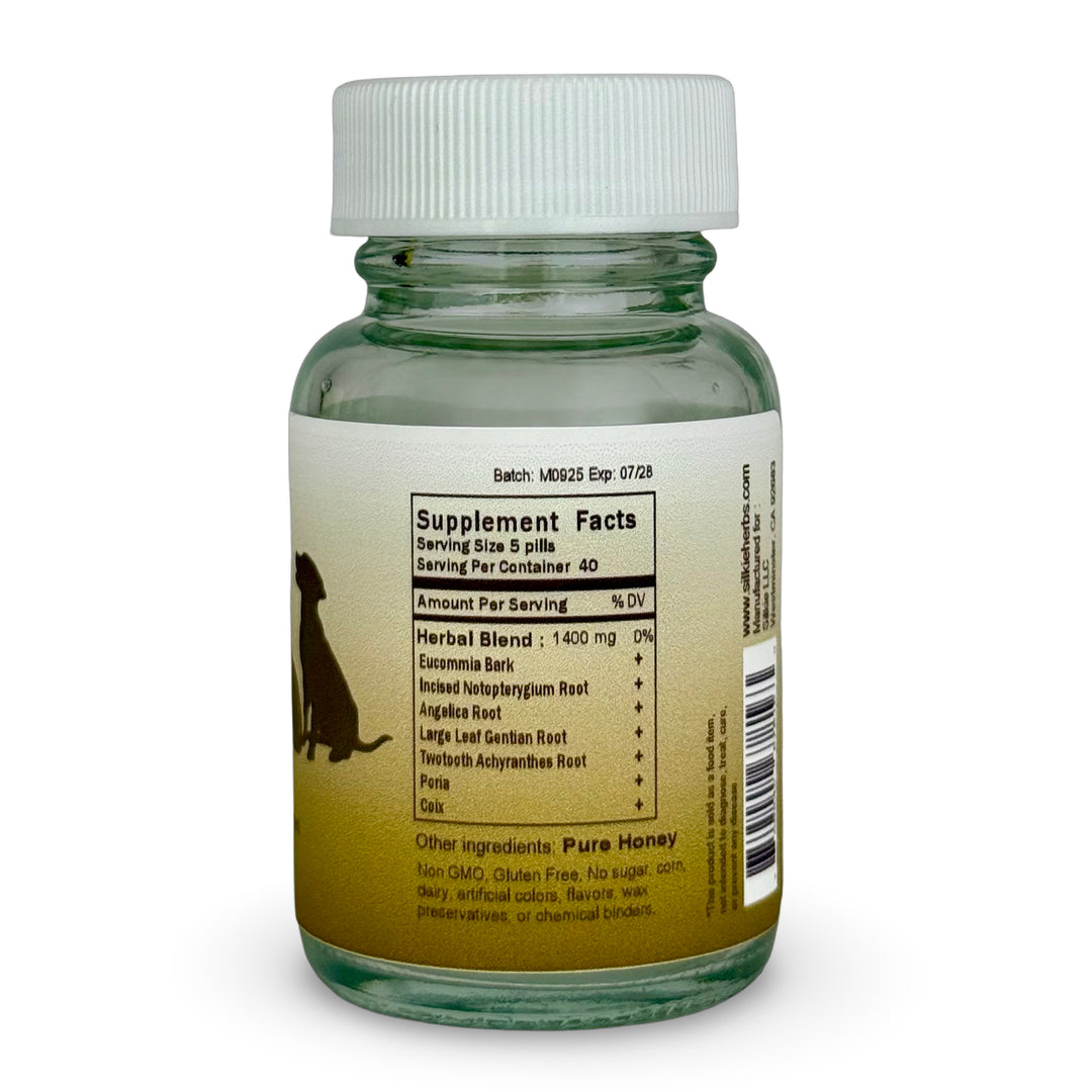 Thú cưng bị viêm khớp - cứng khớp, khập khiễng, đi bộ chậm chạp và không muốn nhảy hoặc leo cầu thang...