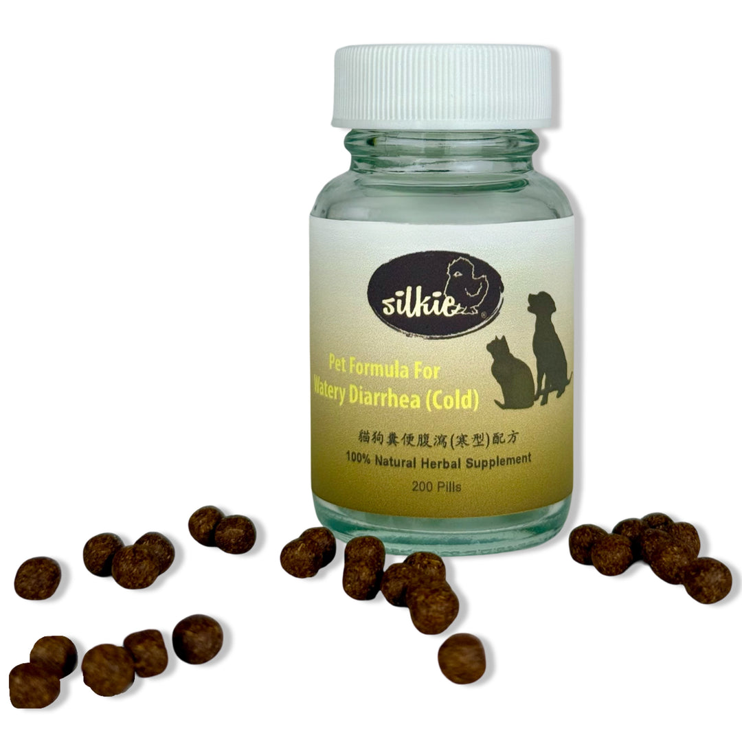 Tiêu chảy ở thú cưng - phân lỏng, đi ngoài thường xuyên, mất nước (mũi hoặc nướu khô), lờ đờ, sụt cân nếu kéo dài, thỉnh thoảng nôn mửa...