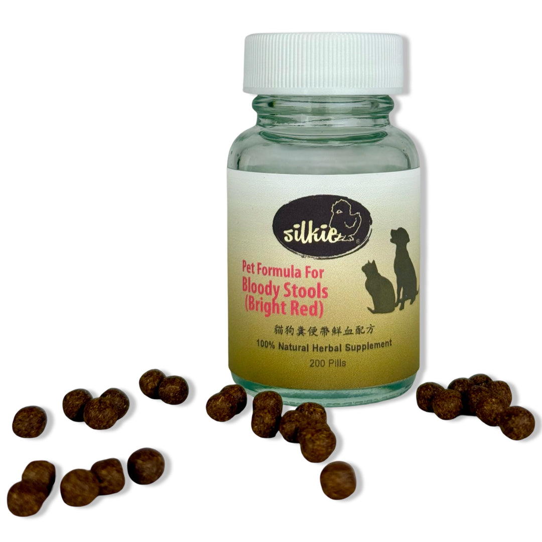 Phân có máu của thú cưng (màu đỏ tươi) - có máu đỏ tươi trong phân, rặn khi đi tiêu, khó chịu ở bụng, thỉnh thoảng nôn mửa...