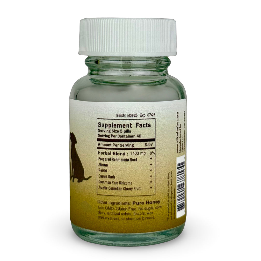 Thú cưng bị bệnh thận - uống nhiều nước hơn và đi tiểu thường xuyên hơn, sụt cân, nôn mửa hoặc lờ đờ...