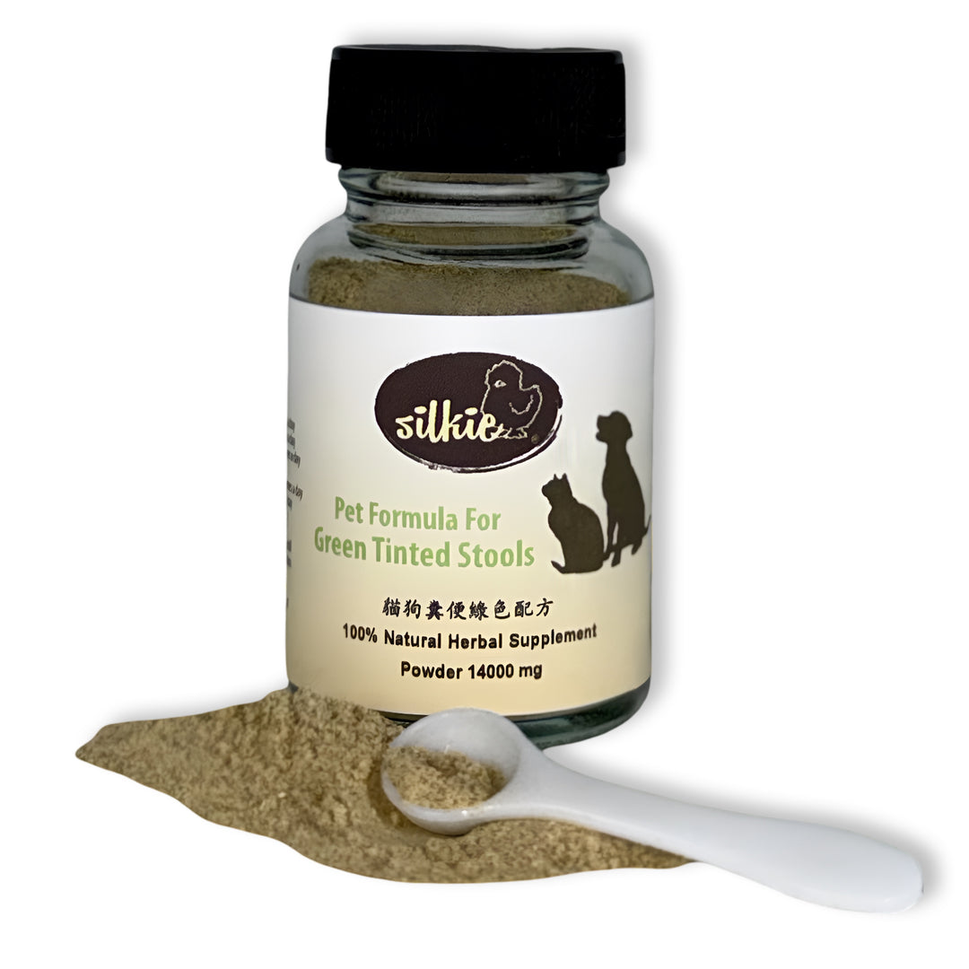 Phân thú cưng có màu vàng hoặc cam - phân có màu vàng tươi hoặc cam, buồn nôn nhẹ, tăng tần suất đi ngoài, chán ăn.