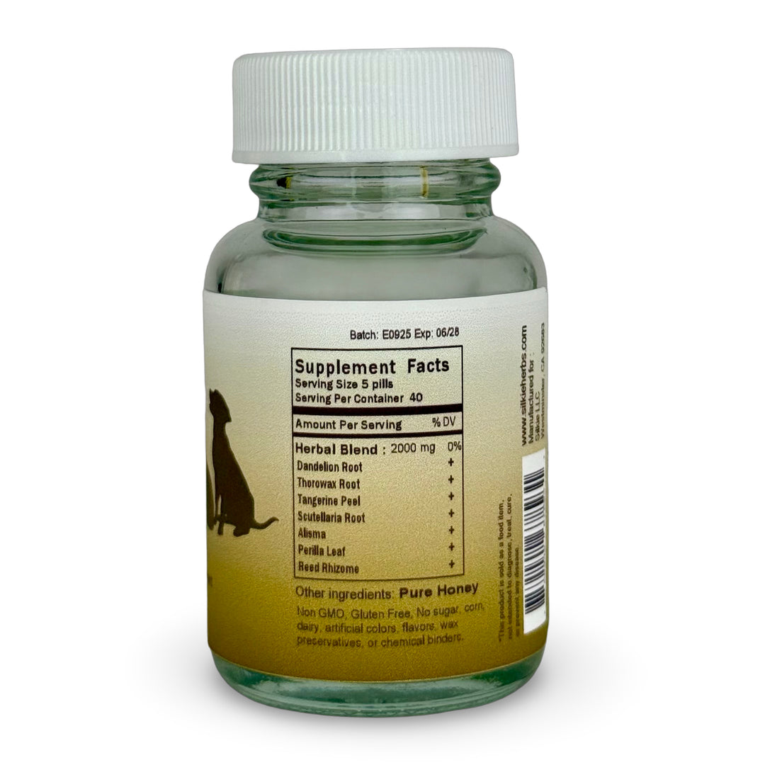 Phân thú cưng có màu vàng hoặc cam - phân có màu vàng tươi hoặc cam, buồn nôn nhẹ, tăng tần suất đi ngoài, chán ăn.