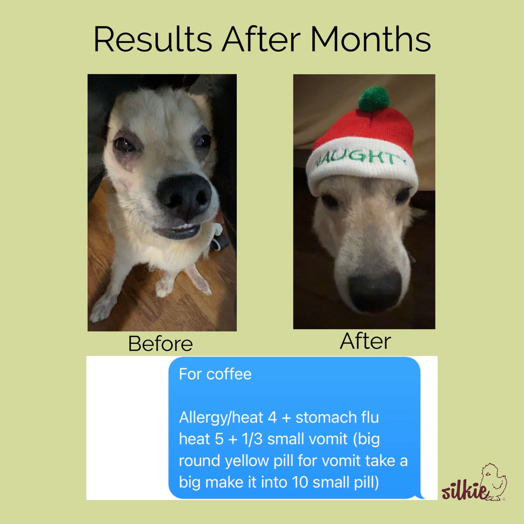 Mini Consultation: A 15 minute brief consultation to evaluate your health concerns, give herbal formula recommendations and answer your questions.