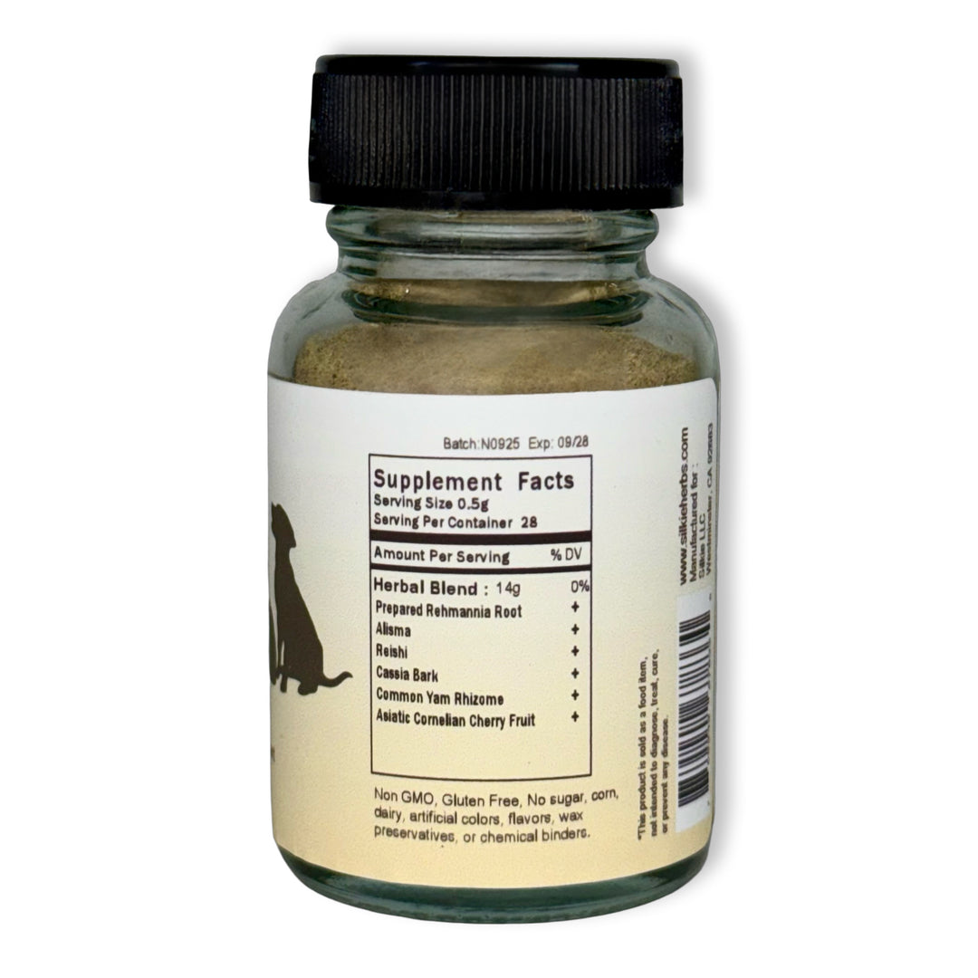 Thú cưng bị bệnh thận - uống nhiều nước hơn và đi tiểu thường xuyên hơn, sụt cân, nôn mửa hoặc lờ đờ...