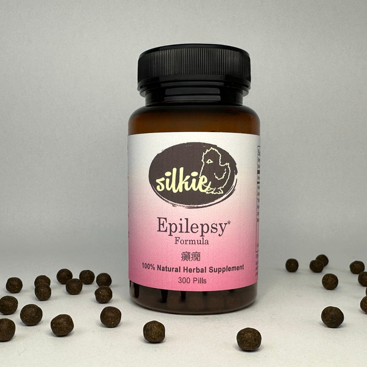 Chinese herbal supplement traditionally used to support neurological health, brain wellness, and seizure management