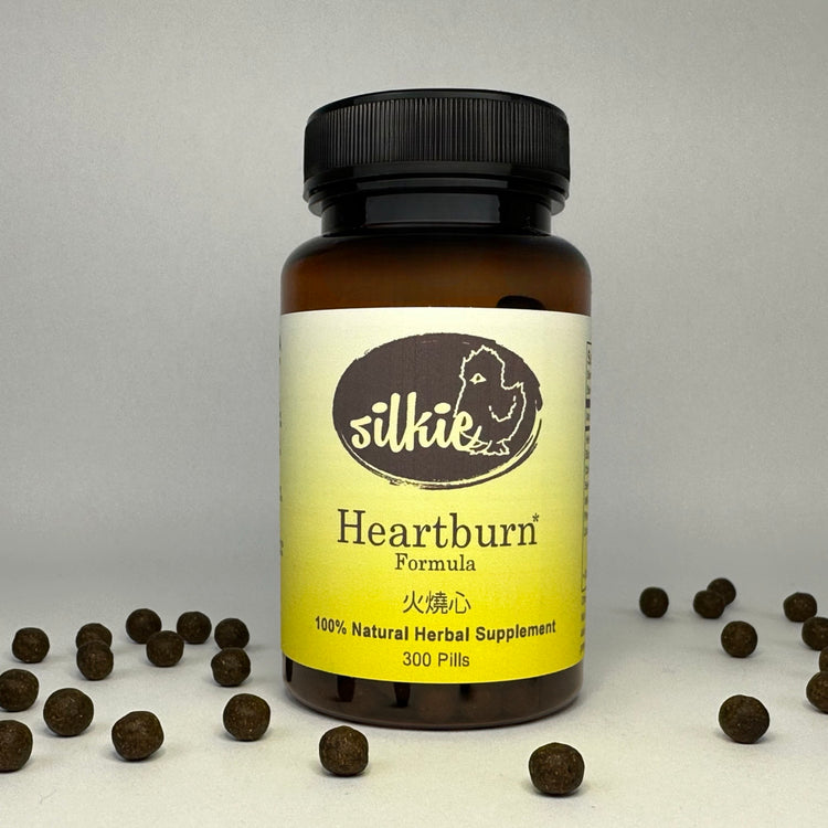 Herbal digestive support supplement formulated to promote stomach comfort and balanced digestive function