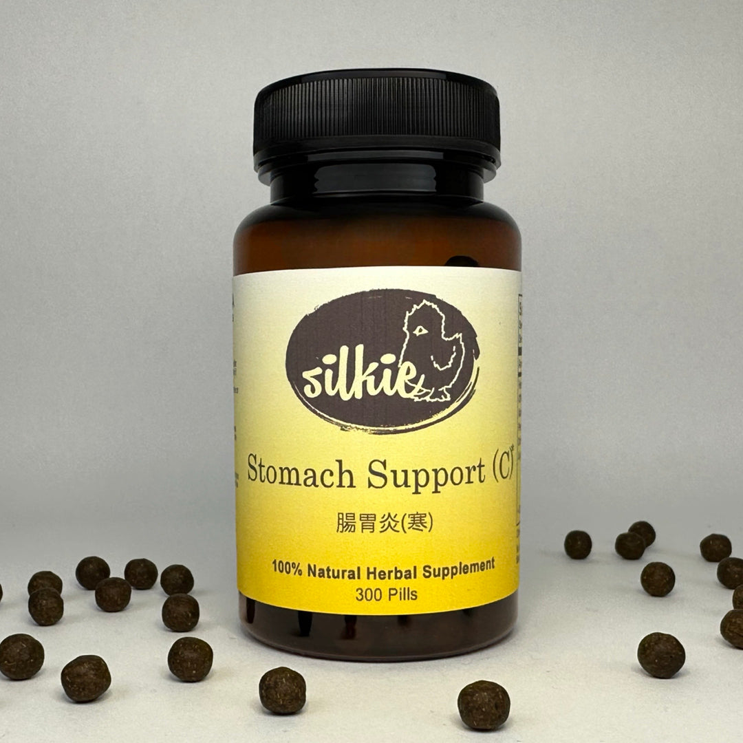Herbal stomach support formula for digestive discomfort, cold stomach symptoms, nausea, and gastrointestinal wellness