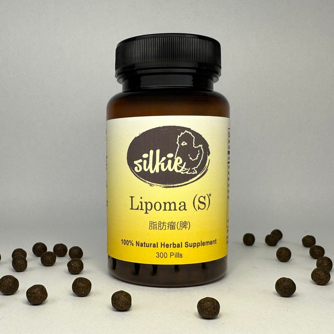 Chinese herbal supplement supporting digestive health, Spleen function, soft fatty lipomas, and phlegm balance