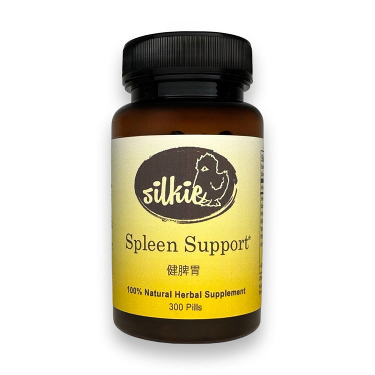 Digestive Support Supplement by Silkie Herbs for bloating, digestion, and energy support, made and packaged in the USA.
