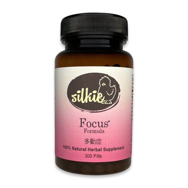 Focus and Attention Support Supplement by Silkie Herbs for concentration, mental clarity, and cognitive support, made and packaged in the USA.
