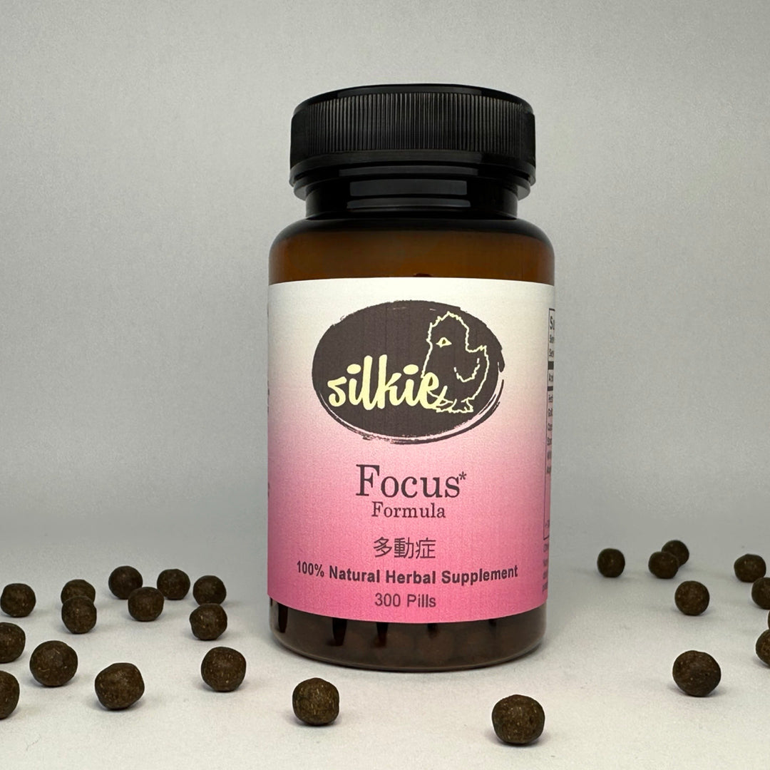 Traditional Chinese herbal formula designed to support focus, memory, productivity, and daily mental performance