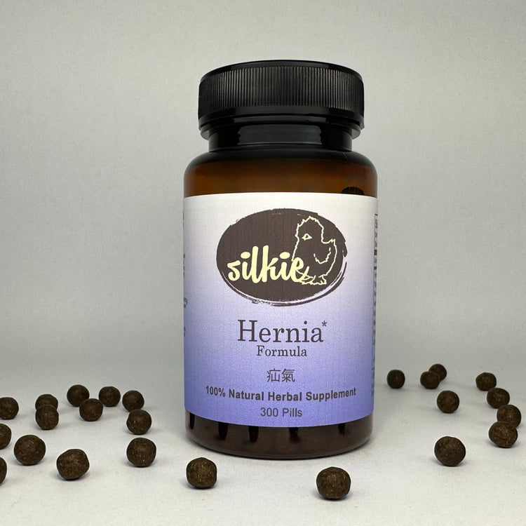 Natural Hernia Support Supplement for groin bulge, groin discomfort, abdominal wellness, digestive support, and healthy Qi flow