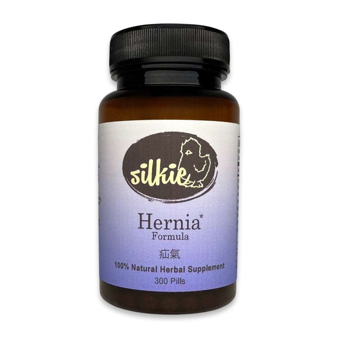 Hernia Support Supplement by Silkie Herbs for inguinal hernia, groin lump, groin bulge, abdominal wall wellness, and healthy Qi circulation, made and packaged in the USA.