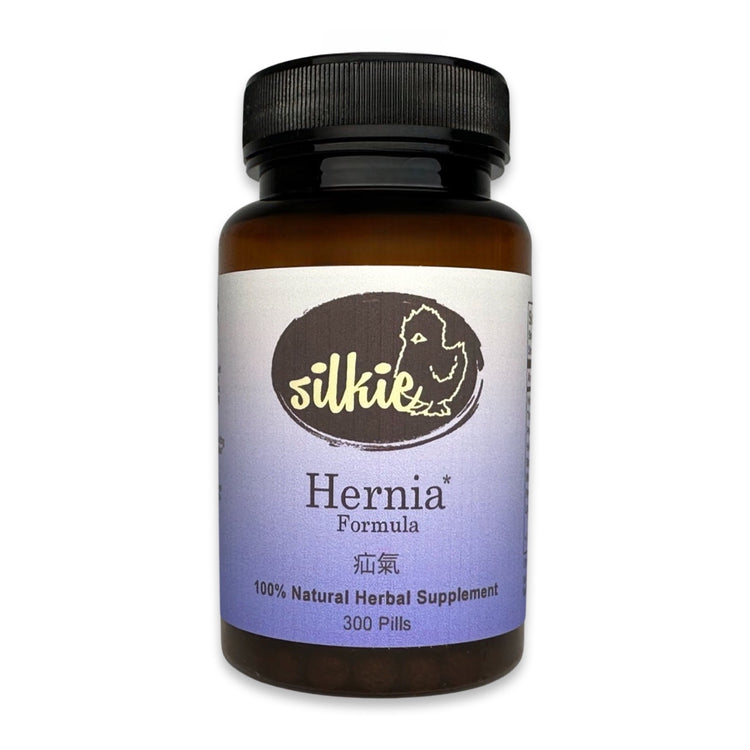Hernia Support Supplement by Silkie Herbs for inguinal hernia, groin lump, groin bulge, abdominal wall wellness, and healthy Qi circulation, made and packaged in the USA.