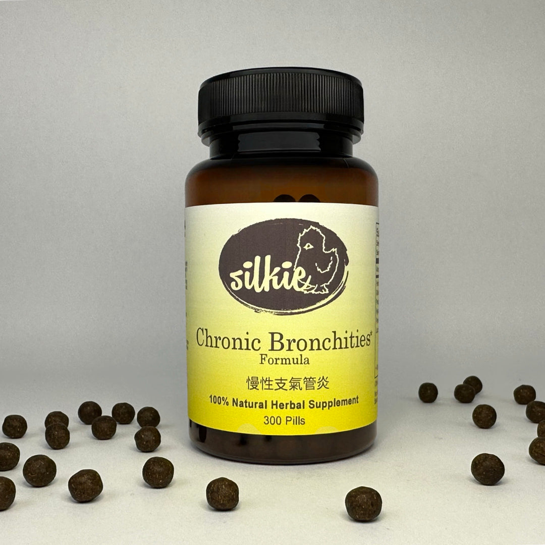 Chronic Bronchitis - frequent coughing or a cough that produces a lot of phlegm.. 慢性支氣管炎