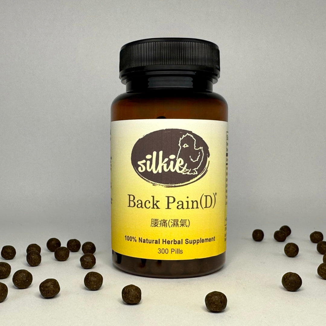 Thuốc thảo dược chữa đau lưng (D) 120 viên- uốn cong khiến cơn đau lưng trầm trọng hơn... 腰痛(濕氣)