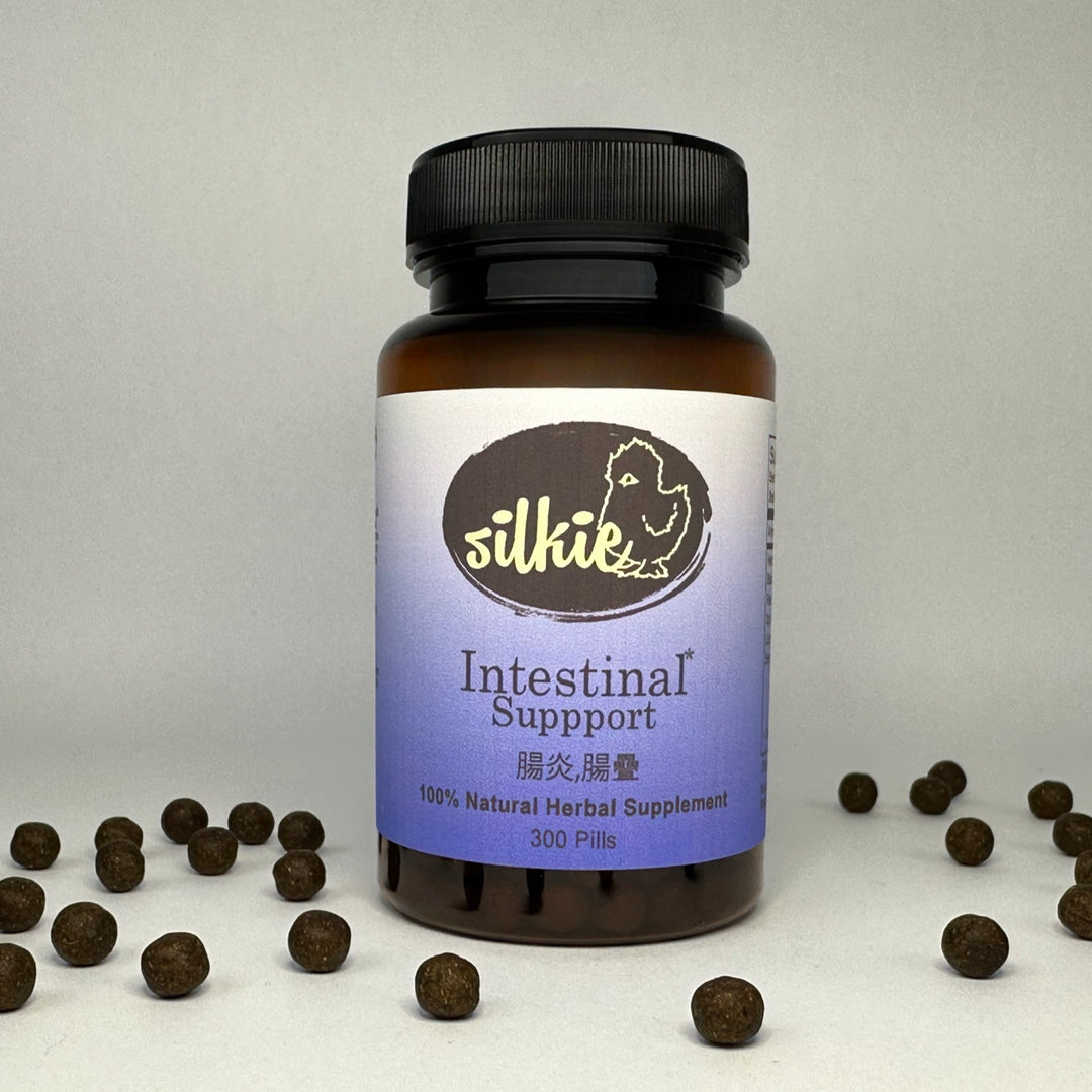 Intestinal Support - IBS or irregular pooping... 腸炎,腸疊