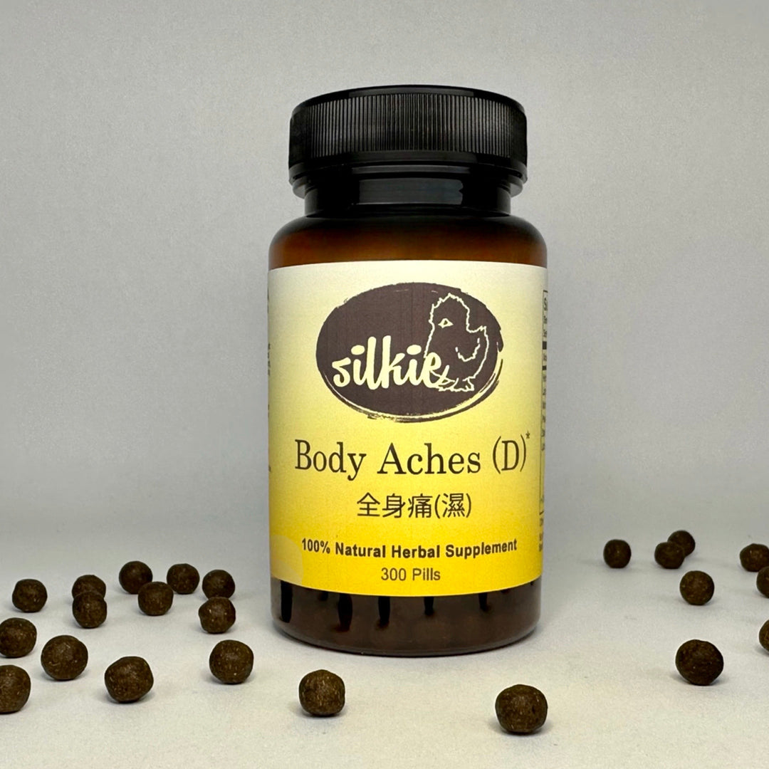 Thuốc thảo dược đau nhức cơ thể (D) 120 viên- toàn thân đau nhức hơn khi cảm lạnh... 全身痛(濕)