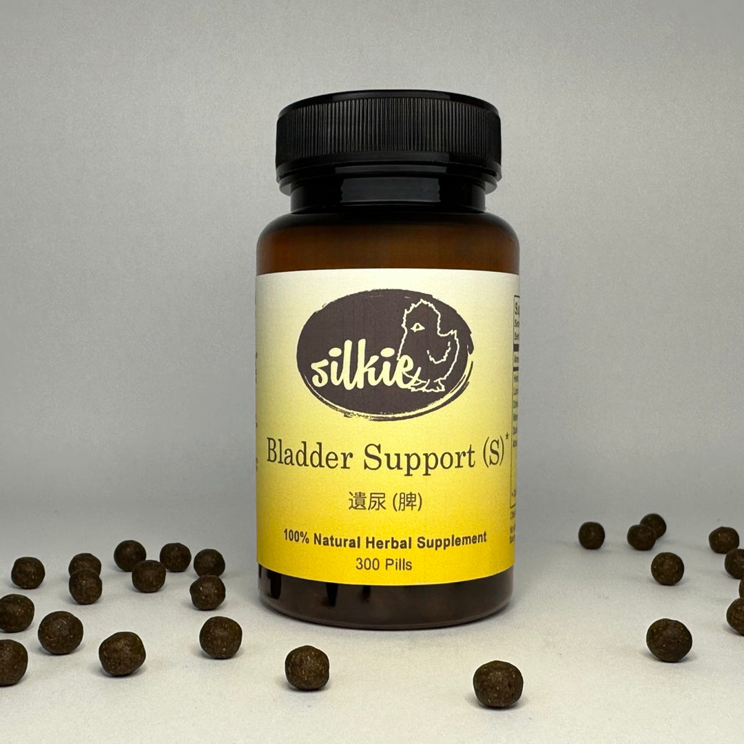 Bladder Support (S) - incontinence urination accompanied by coughing, shortage of breath.... 遺尿 (脾)