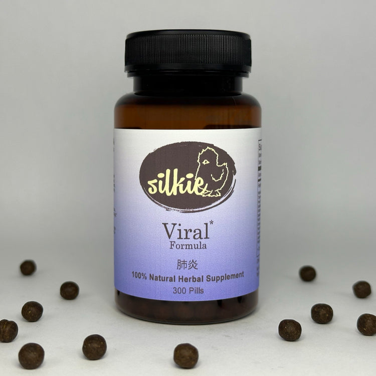 Chinese herbal Viral Support formula for respiratory health, throat comfort, fever recovery, and seasonal wellness