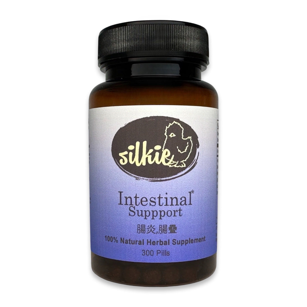 Intestinal Support Supplement for IBS symptoms, digestive health, bloating relief, and healthy bowel function, made and packaged in the USA.