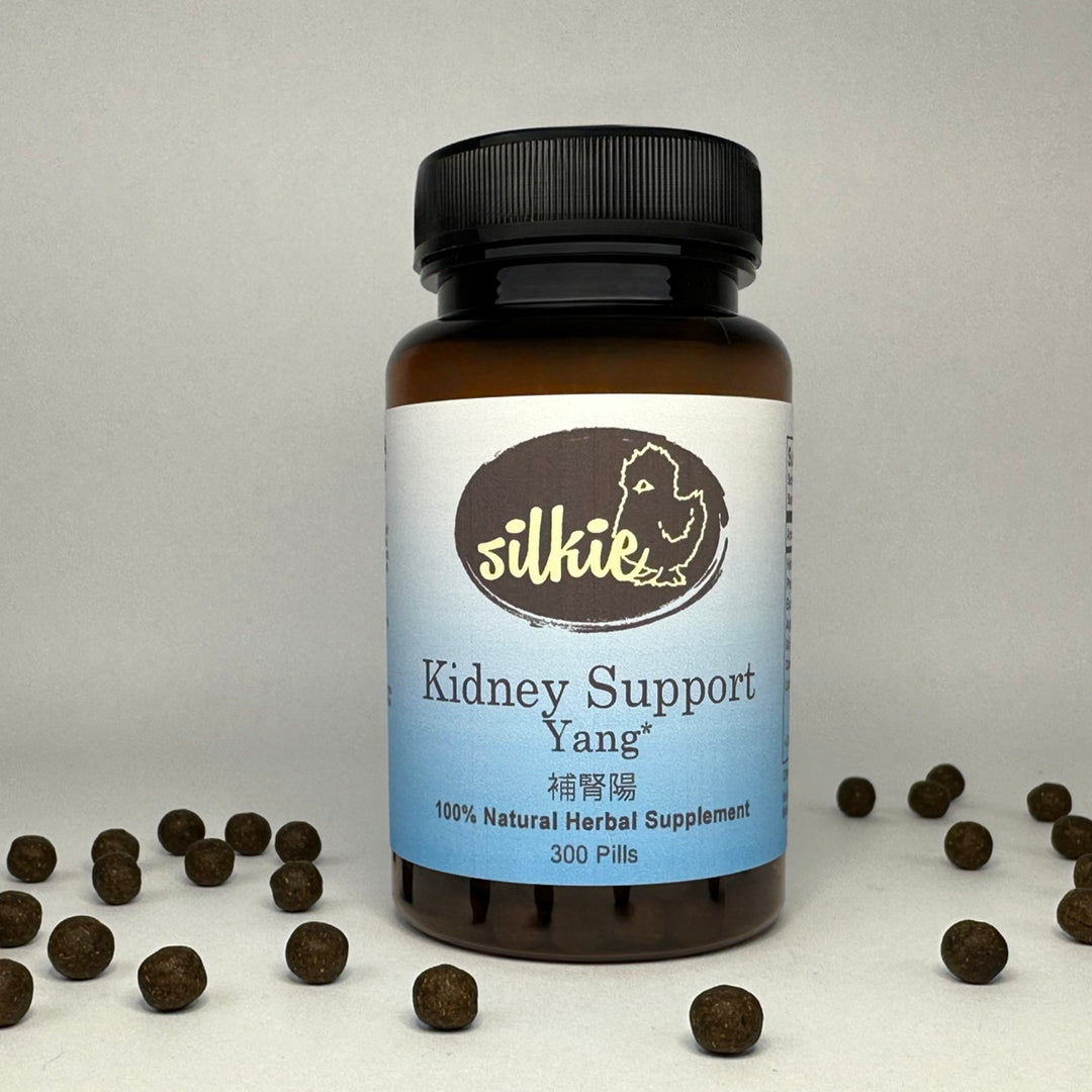 Chinese herbal Kidney Yang supplement supporting healthy bones, joints, energy, and overall vitality