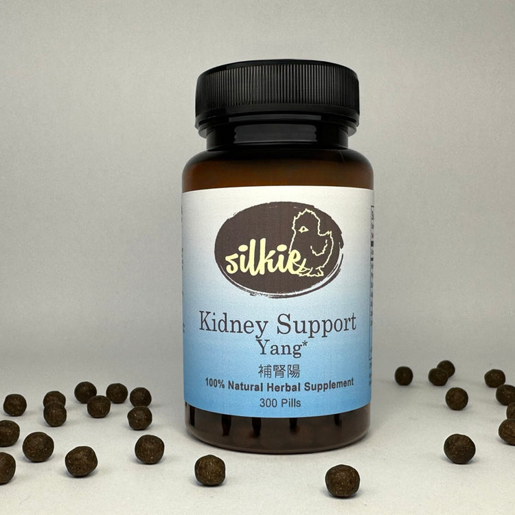 Chinese herbal Kidney Yang supplement supporting healthy bones, joints, energy, and overall vitality
