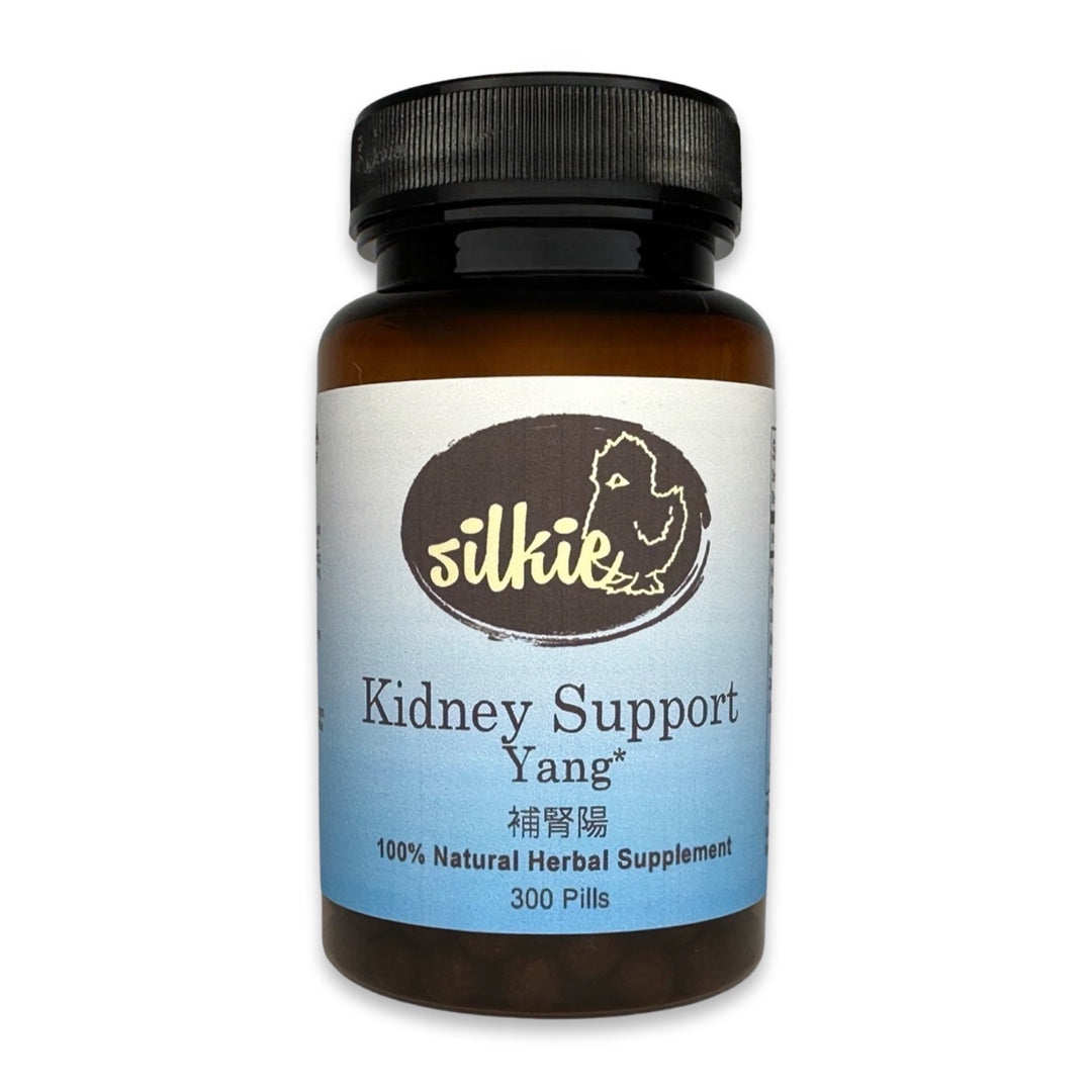 Kidney Yang Support Supplement by Silkie Herbs for weak bones, low energy, cold hands and feet, and kidney health, made and packaged in the USA.