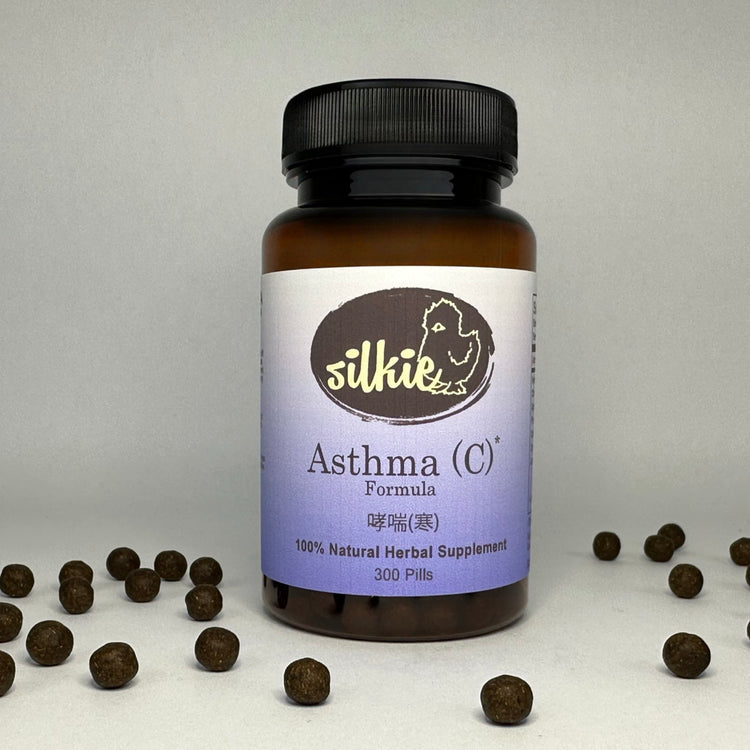 Chinese herbal supplement designed to support cold-pattern asthma, respiratory comfort, and healthy lung function