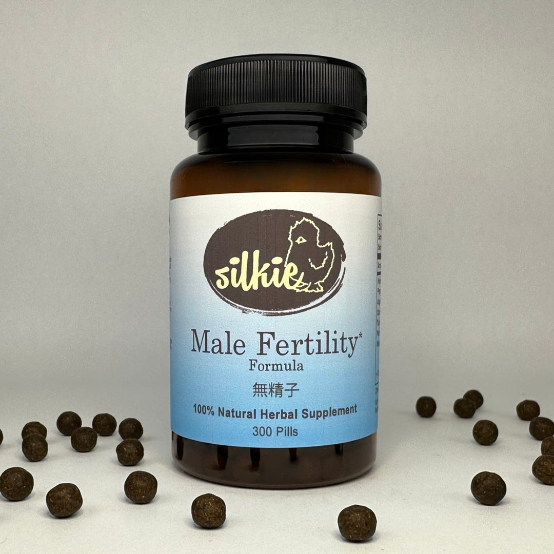 Chinese herbal male fertility supplement supporting sperm quality, reproductive wellness, Kidney Jing, and vitality