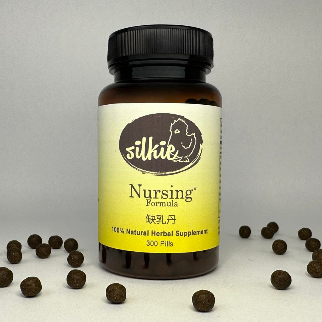 Natural herbal breastfeeding supplement supporting healthy milk supply, maternal recovery, and infant nursing