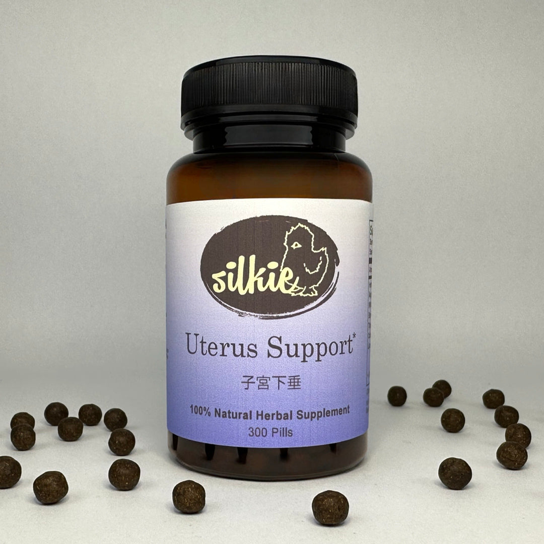 Herbal uterus support supplement formulated to support pelvic floor strength, Spleen Qi, and Lung Qi