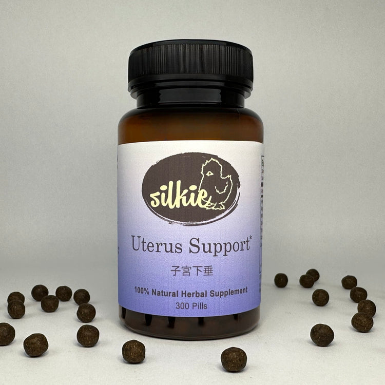 Herbal uterus support supplement formulated to support pelvic floor strength, Spleen Qi, and Lung Qi