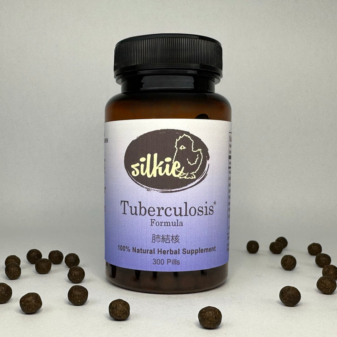 Chinese herbal lung support supplement promoting respiratory wellness and healthy breathing