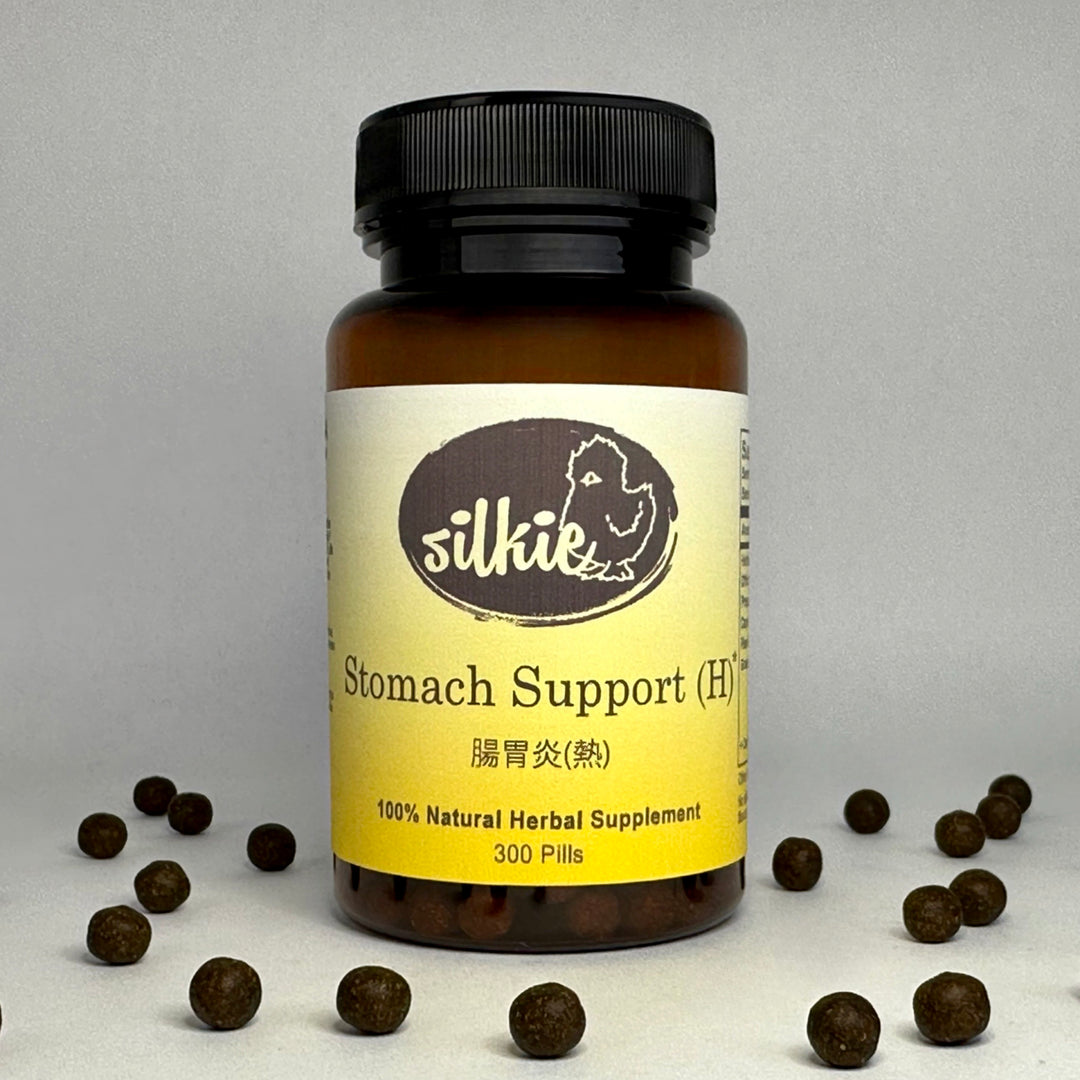 Herbal stomach support supplement for digestive upset, nausea, loose stools, and digestive heat patterns