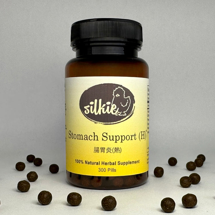 Herbal stomach support supplement for digestive upset, nausea, loose stools, and digestive heat patterns