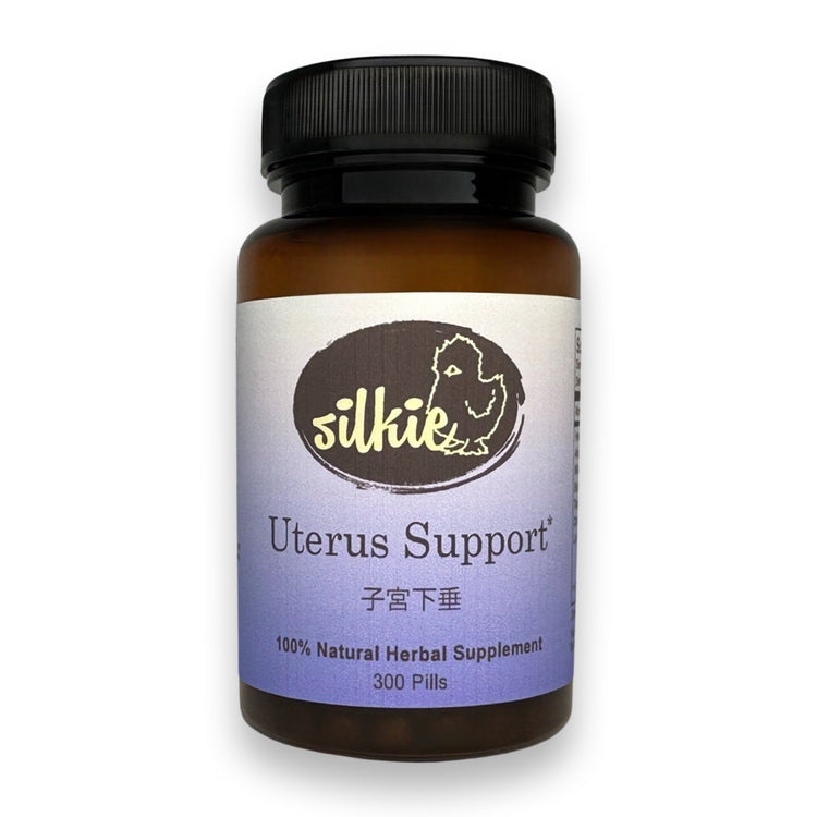 Uterus Support Supplement by Silkie Herbs for pelvic floor support, uterine wellness, and healthy organ positioning, made and packaged in the USA.